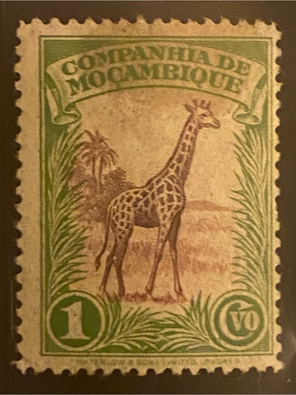 1937 Mozambique Company 1-cent postage stamp featuring a giraffe illustration.